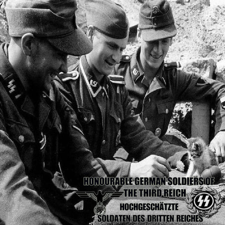 Blitzkrieg only stops to play with kittens
